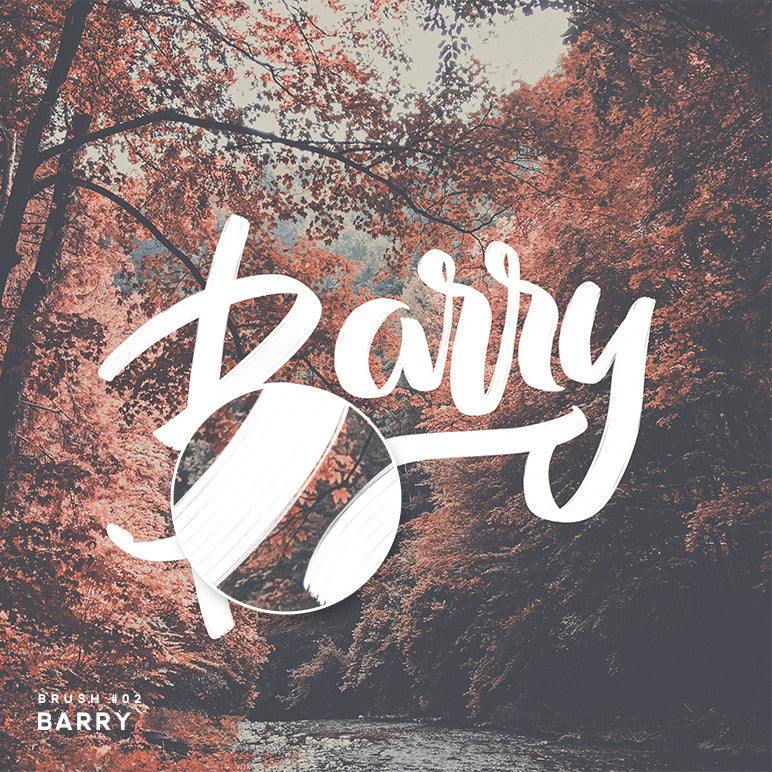 Procreate Brush Script Brushes & Worksheets - Ian Barnard